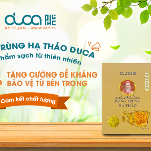 6 lợi ích của đông trùng hạ thảo dựa trên khoa học