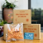 Đông trùng hạ thảo gói 10g