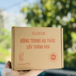 Đông trùng hạ thảo gói 10g
