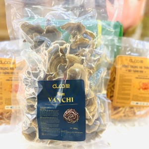 Nấm vân chi và Đông trùng hạ thảo: Thảo dược quý cho cơ thể khoẻ mạnh