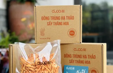 Đông trùng hạ thảo gói 10g