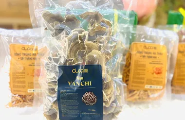 Nấm vân chi DUCA